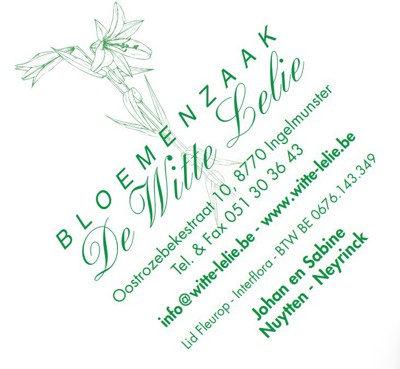 Sponsor Image